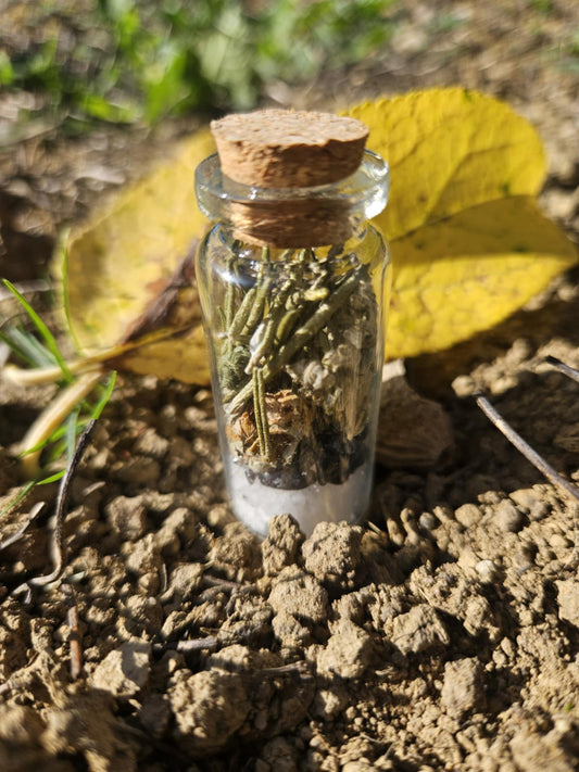 SPELL JAR ANCRAGE