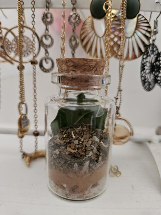 SPELL JAR ABONDANCE ET PROSPÉRITÉ(frais de port compris)